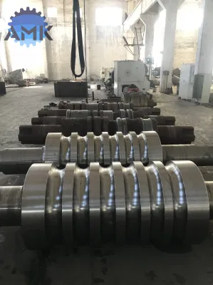 Cast Iron and Cast Steel Roll for Rolling Mill